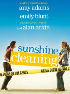 Sunshine Cleaning
