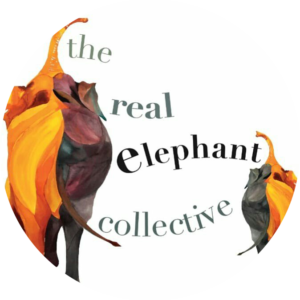The Great Elephant Migration