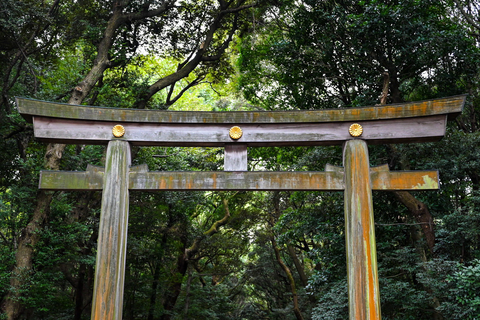 Meiji Jingu