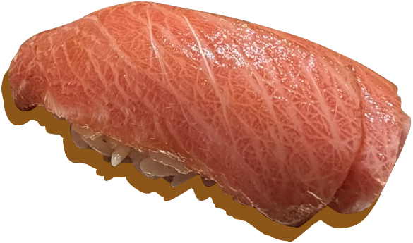 piece of sushi
